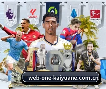 web-one-kaiyuane.com.cn APP